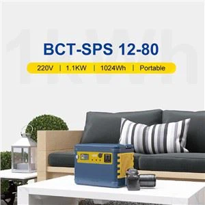 Blue Carbon 1kWh Solar Lithium Battery Power System with Inverter Built in