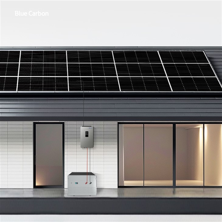 48V 200Ah 250Ah 300Ah Lithium Ion Batteries 10.24kWh 12.8kWh 15.36kWh Lithium Battery for Solar Storage best