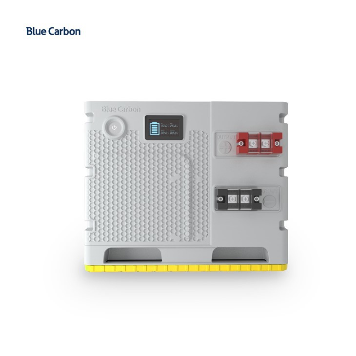Blue Carbon 24V Lithium 200Ah LiFePO4 Battery With MPPT And BMS Built-in for Off-grid Solar Home System suppliers