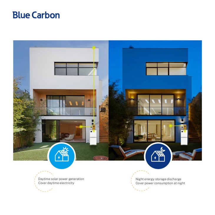 Blue Carbon Best Price 10kW Solar Home System From China Cheap Price 200Ah Lithium Battery high quality
