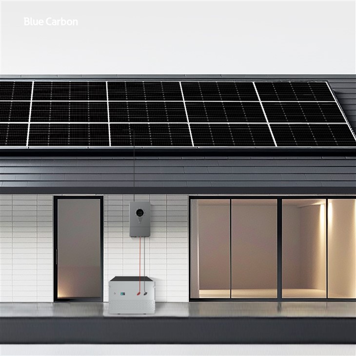 48V Lithium Battery Pack Off Grid Solar Battery System Factory Supply price