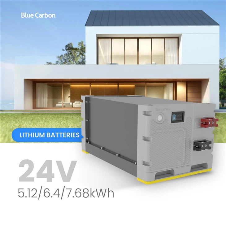 Blue Carbon 24V Solar Battery With Smart BMS for Home Appliances