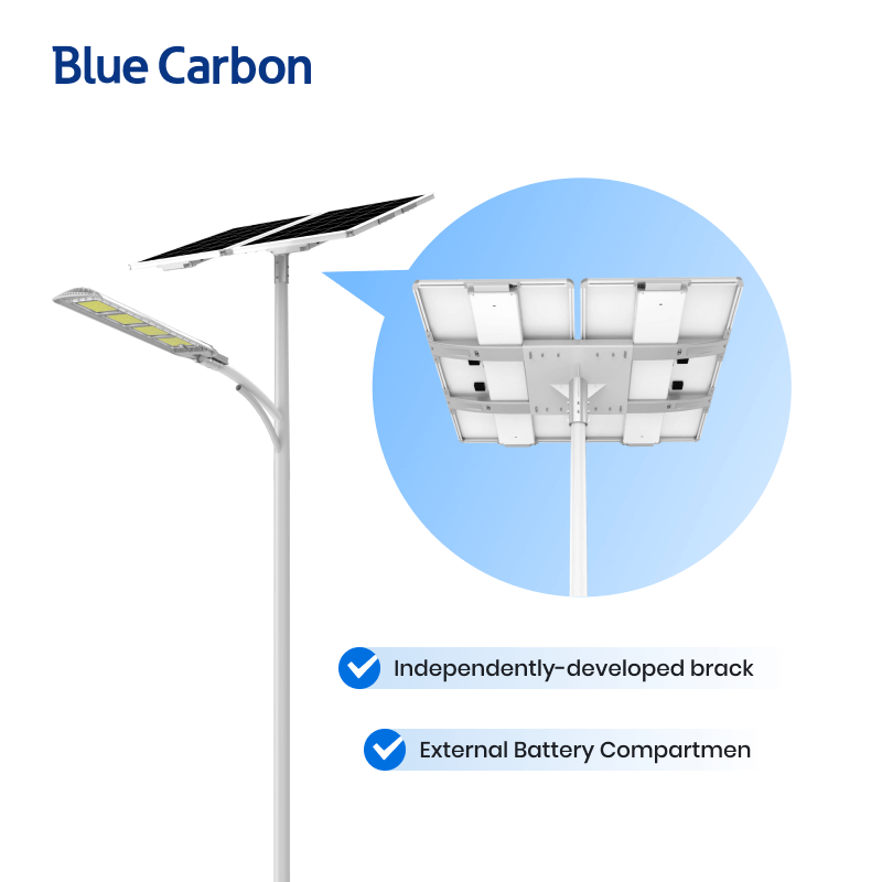 Blue Carbon 24V Municipal Solar Street Light best