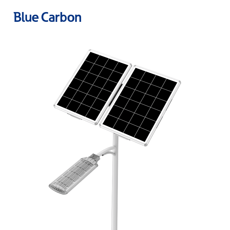 Blue Carbon 24V Municipal Solar Street Light factory
