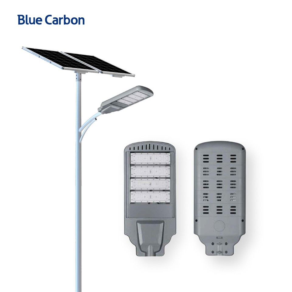 Blue Carbon High Quality 24V Municipal Solar Street Light Outdoor factory