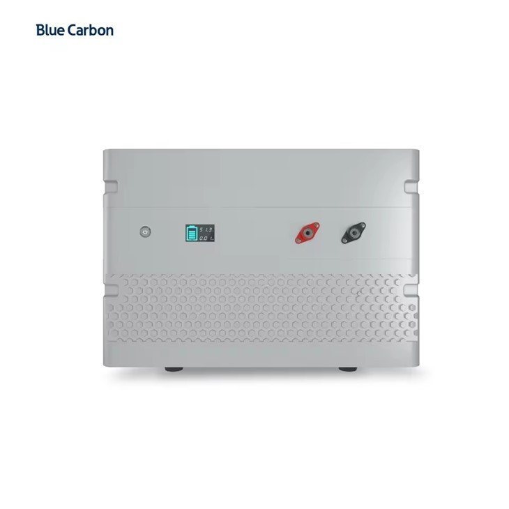 Blue Carbon Lithium Ion Battery New Design 48V LiFePO<sub>4</sub> Battery Pack