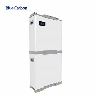 Blue Carbon 48V Lithium Battery Pack